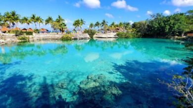 Quintana Roo establece históricamente el Consejo Consultivo y Comisión Ejecutiva de Turismo para definir la política turística