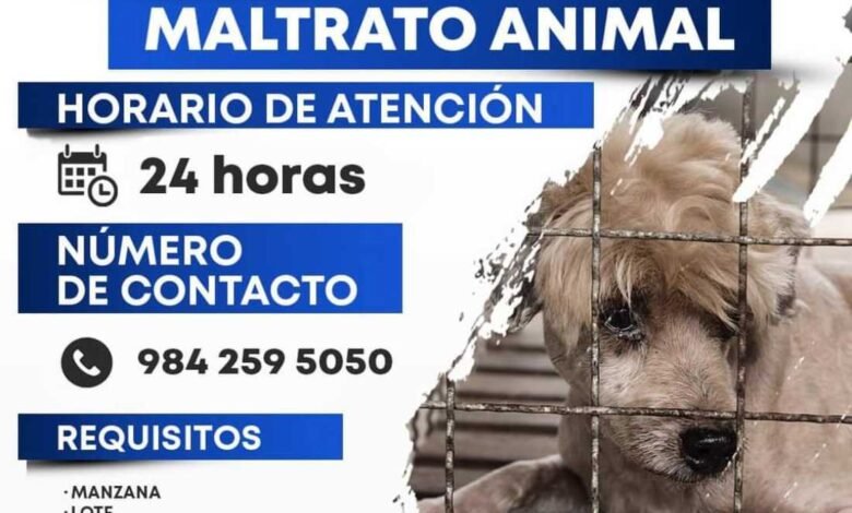 Línea de denuncia las 24 horas para maltrato animal en CENCAAZ