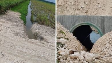 Bloquean obras del Tren Maya en Río Hondo por afectación a cultivos de caña