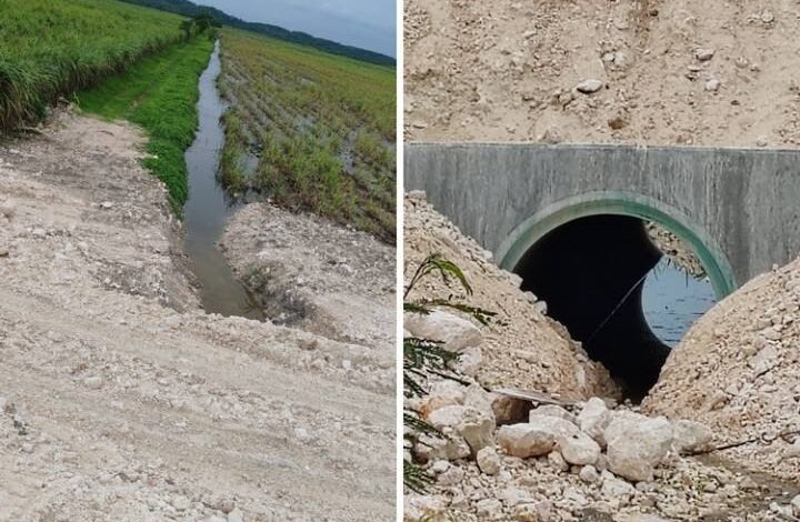 Bloquean obras del Tren Maya en Río Hondo por afectación a cultivos de caña