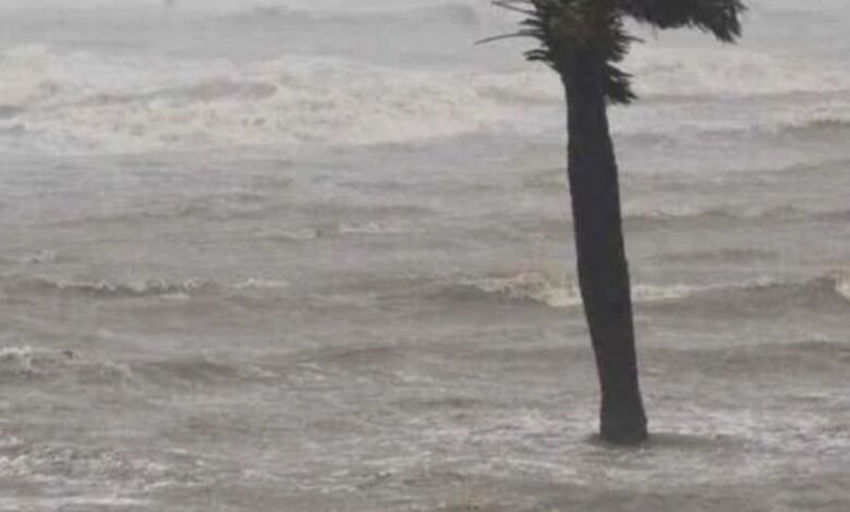 Se forma la tormenta tropical “Ernesto”: Estas son las regiones que afectará